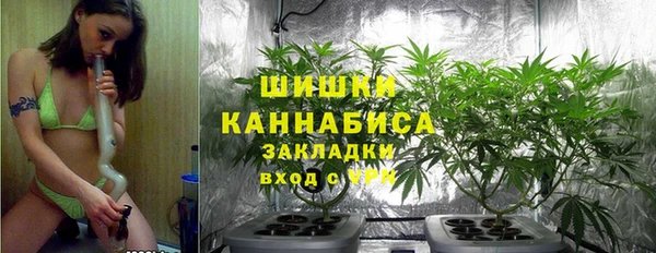 винт Арсеньев