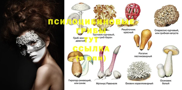 винт Арсеньев
